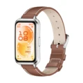 Brown Silver 2