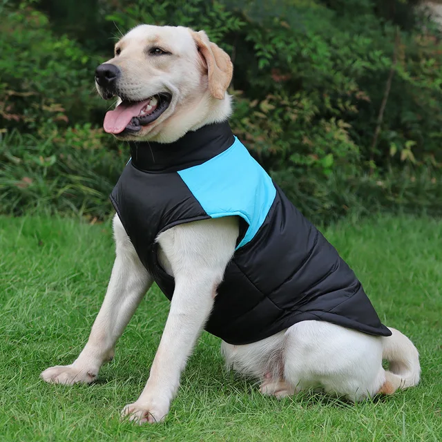 Waterproof Warm Zippered Winter Vest Pet Jacket Light Blue