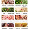 Commercial Electric Meat Slicer Cutter Stainless Steel Automatic Vegetable Cutting Grinder Machine Minced Meat Mincer EU US Plug 4