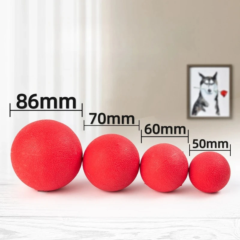 Hard Solid Rubber Balls for Dog Bite Resistant and Indestructible Dog Training Ball Pet Chew Play Fetch Bite Toy TPR Bouncy Ball 3
