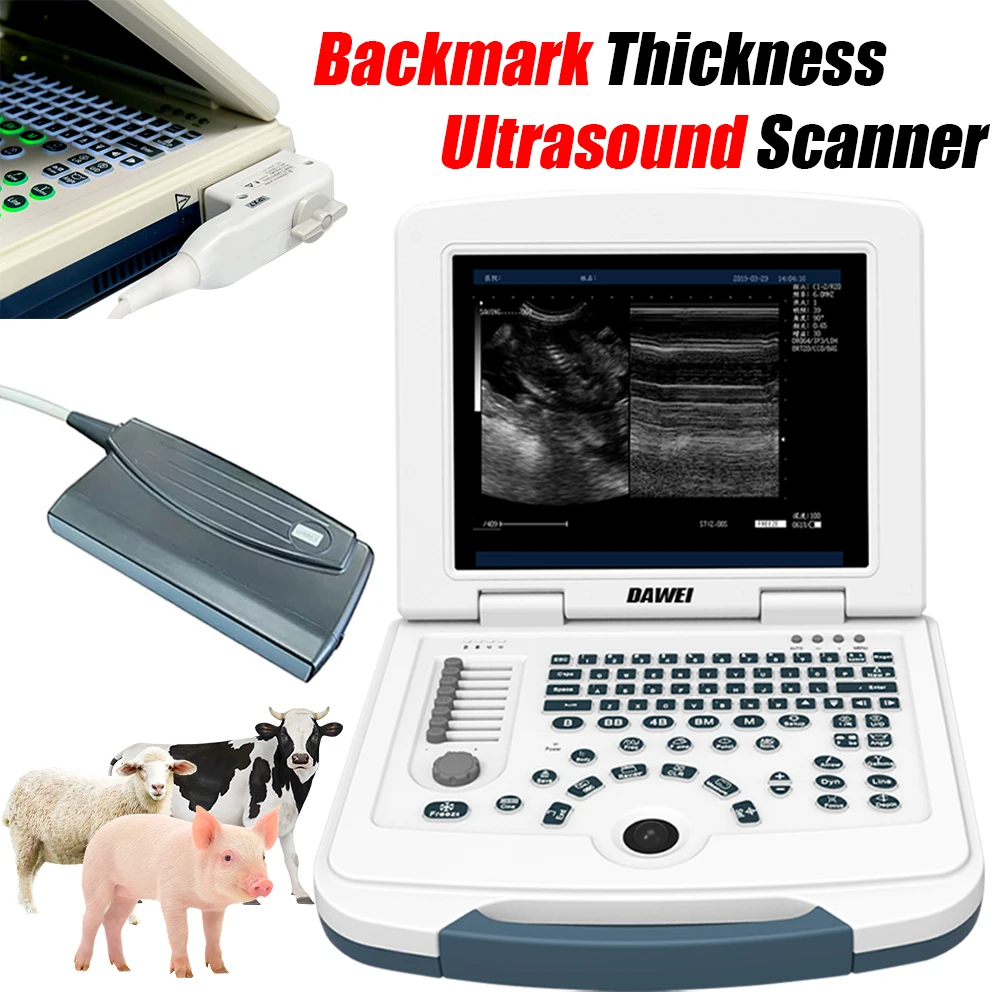 

Portable Veterinary Fat Thickness Ultrasound Scanner with 3.5MHz Backfat Probe Vet Laptop B-Ultra Machine for Pig Cattle Sheep