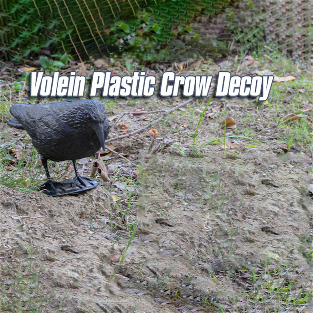 

Simulation Of Black Crow Natural Props Rat Catcher Rugged And Durable High Quality Image Lifelike Simple And Delicate Simulation
