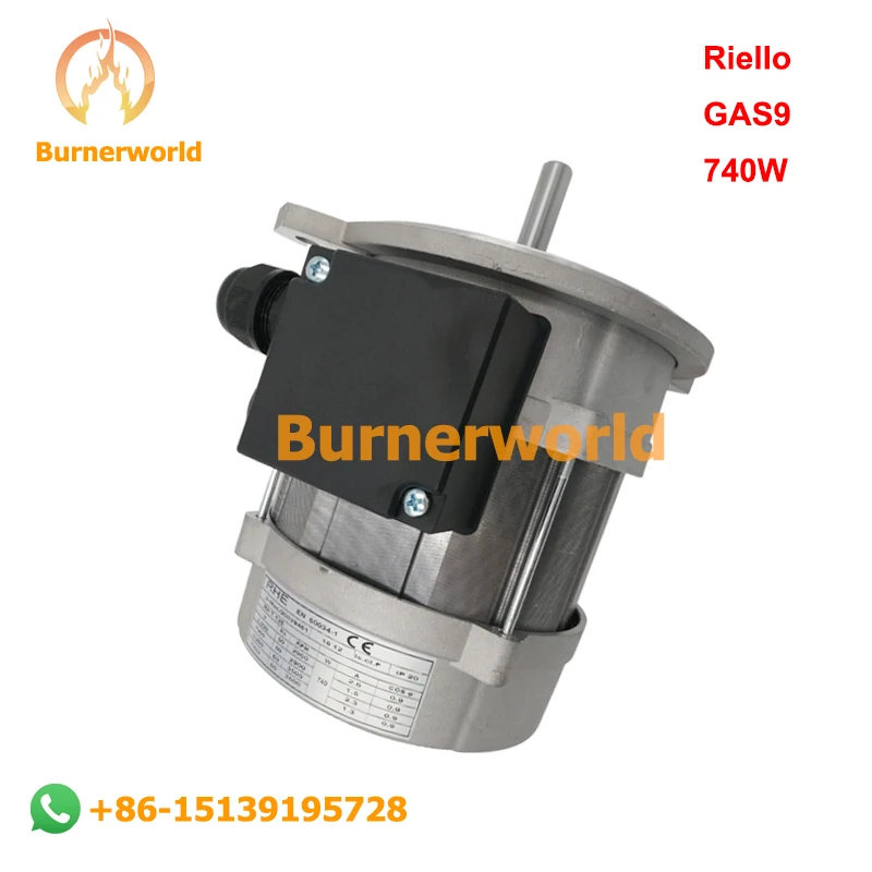 Рисунок 2 - Двигатель аппарата сгорания Riello GAS9