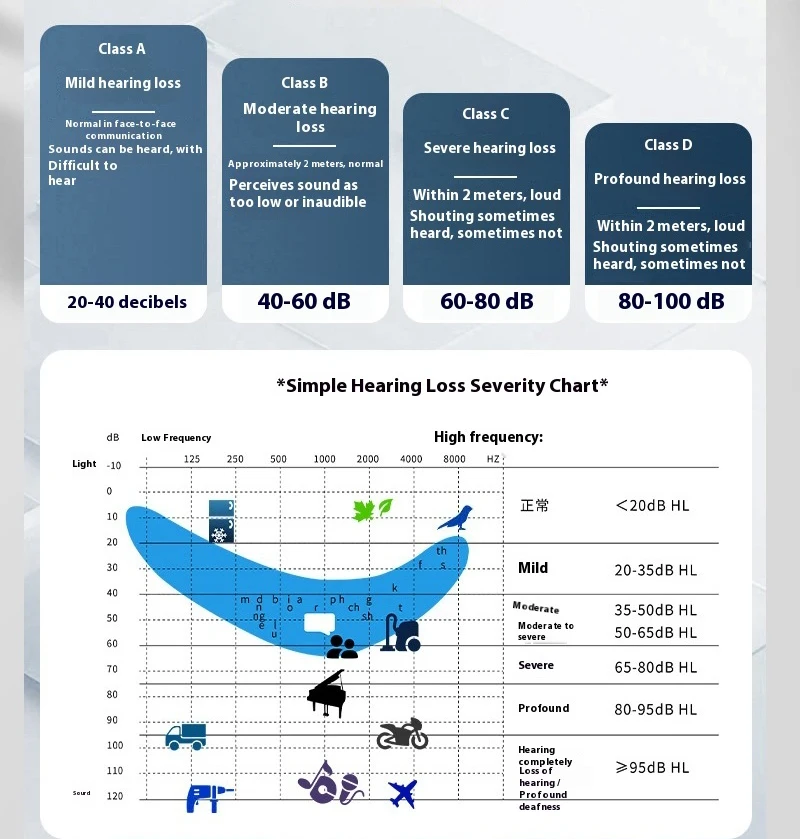 16-channel Rechargeable Bluetooth Hearing Aid Portable Professional Sound Amplif