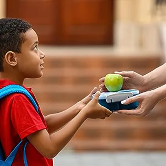 Bento Lunch Box for Kids Adult,4 Compartment Bento Box Containers with Fun  Accessories Thick Silicone Food Cake Cups, Cute Food Picks for Kids,Easy to