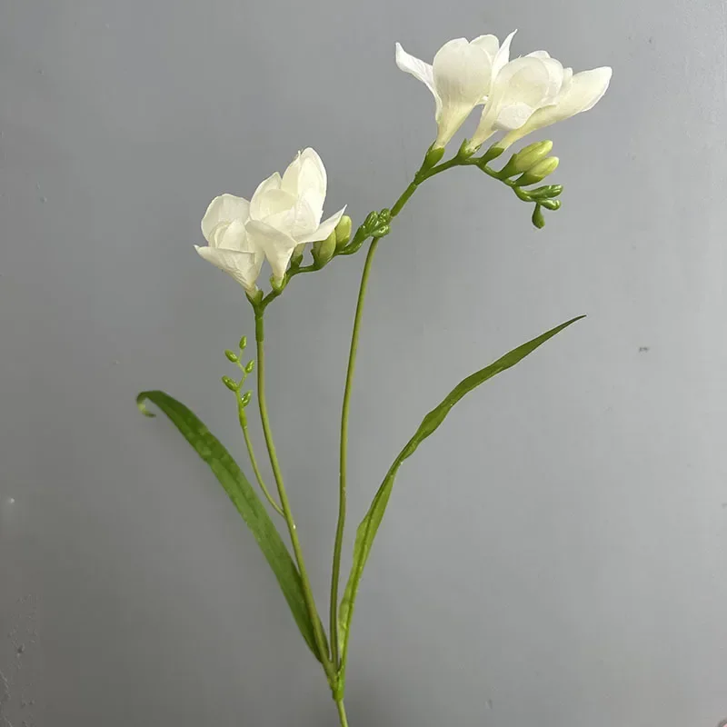 milk white