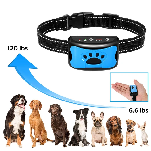 ZOOBERS-Collar de ladridos para perro pequeño, mediano y grande, recargable  por USB, sin daños, sin golpes, Collar antiladridos para perro - AliExpress