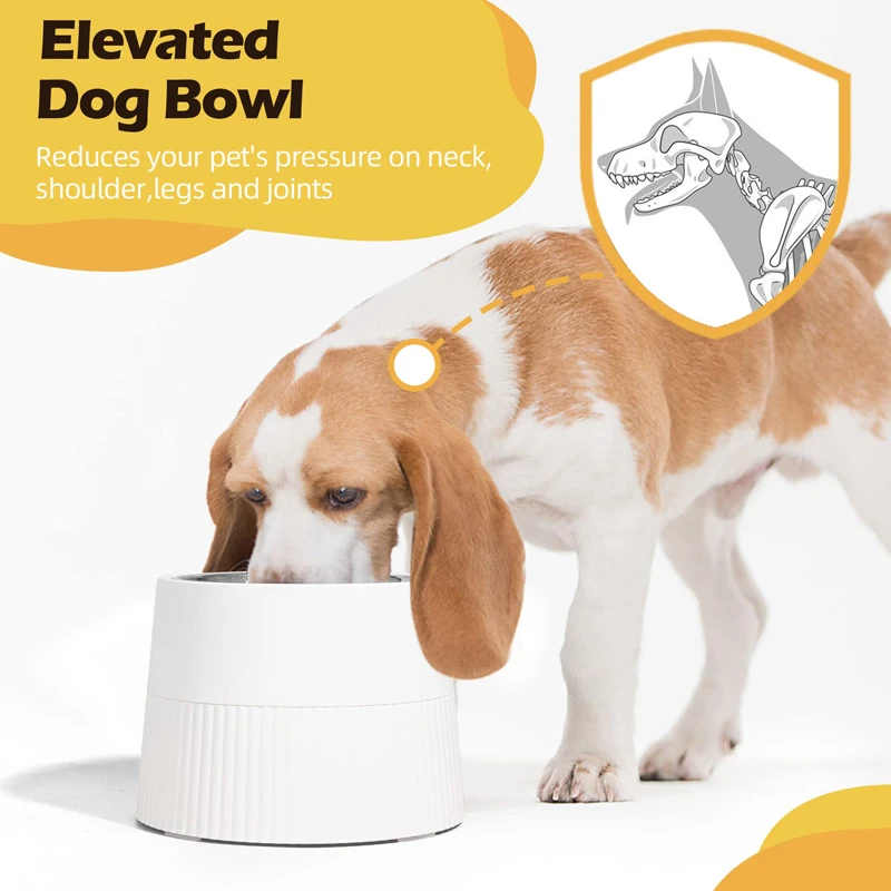 Benepaw Stainless Steel Elevated Dog Bowl Non-Slip 4 Height Adjustable  Raised Pet Food Water Bowl For Small Medium Large Dogs - AliExpress