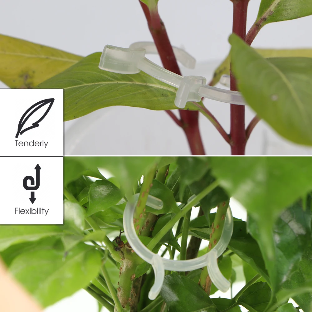 Clear Clip Plant Support Clamp Clip Transparent Plastic Garden Fixture Gripper Great Flower Vine Vegetable Lever Loop Hold Stems