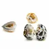 fashion  No Hole Agates Different size Crystal geode Raw Rock Mineral Energy Natural Quartz Reiki Healing Decoration Crafts 4