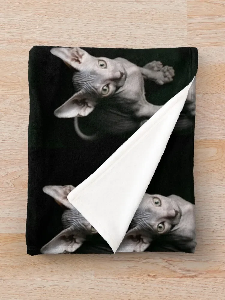 ���� ����ũ�� ������ ������ ���, ���� ħ�� ���