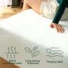 ZINUS Green Tea Memory Foam Mattress [New Version], Fiberglass free, Medium Firm Feel, Zoned Pressure Relief, Cer 6