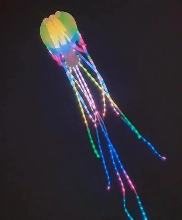 18m led Jellyfish Kite fly floatant Koi carp popit giant flying toys