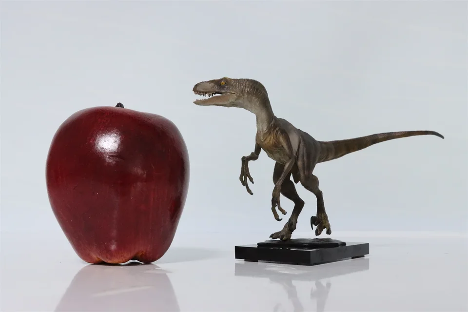 DINO DREAM ティラノサウルス & ヴェロキラプトル セット像 DINO DREAM ティラノサウルス & ヴェロキラプトル セット像