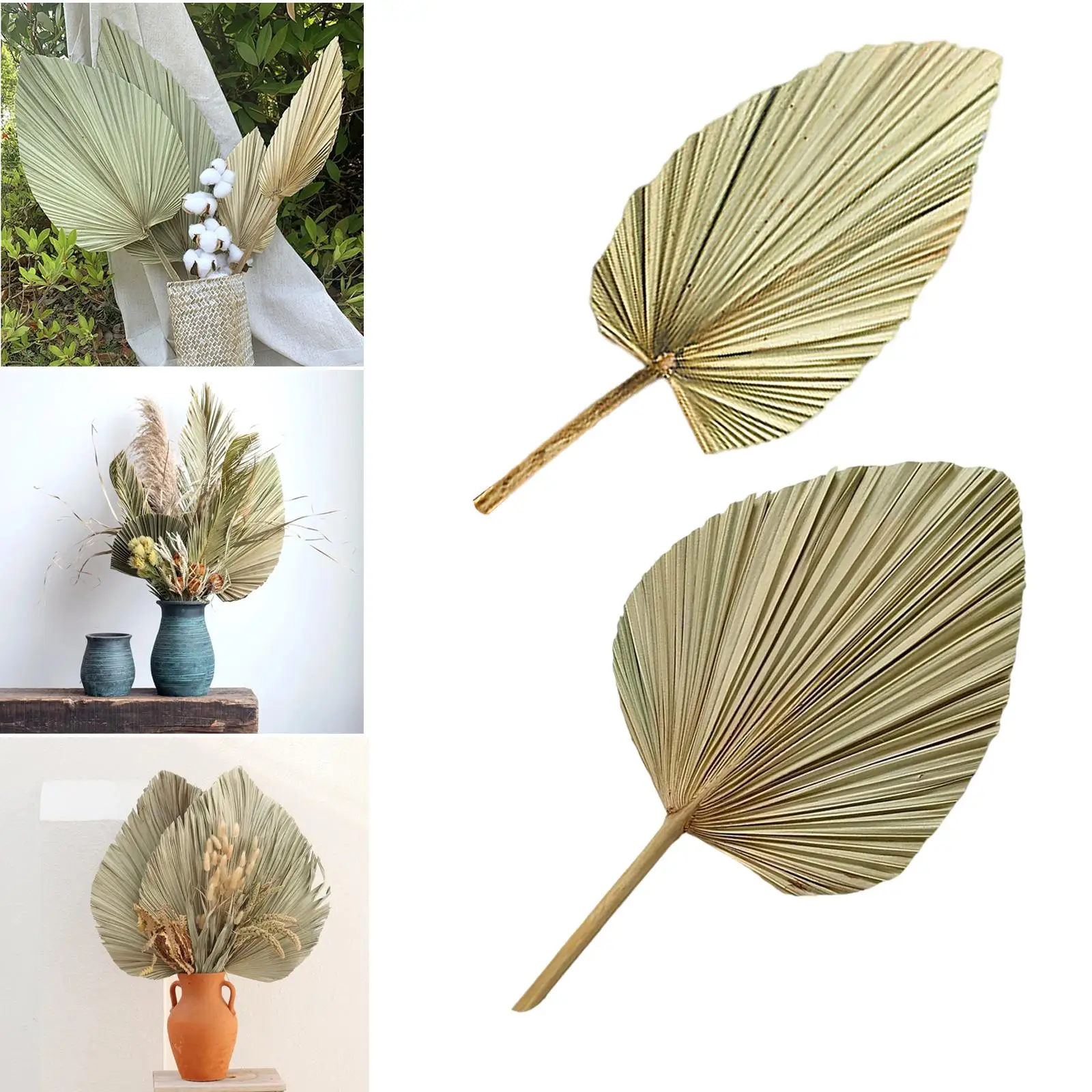 1pc Palm Fan Leaf Dried Flower Palm Leaf Window Reception Party Art Wall Hanging