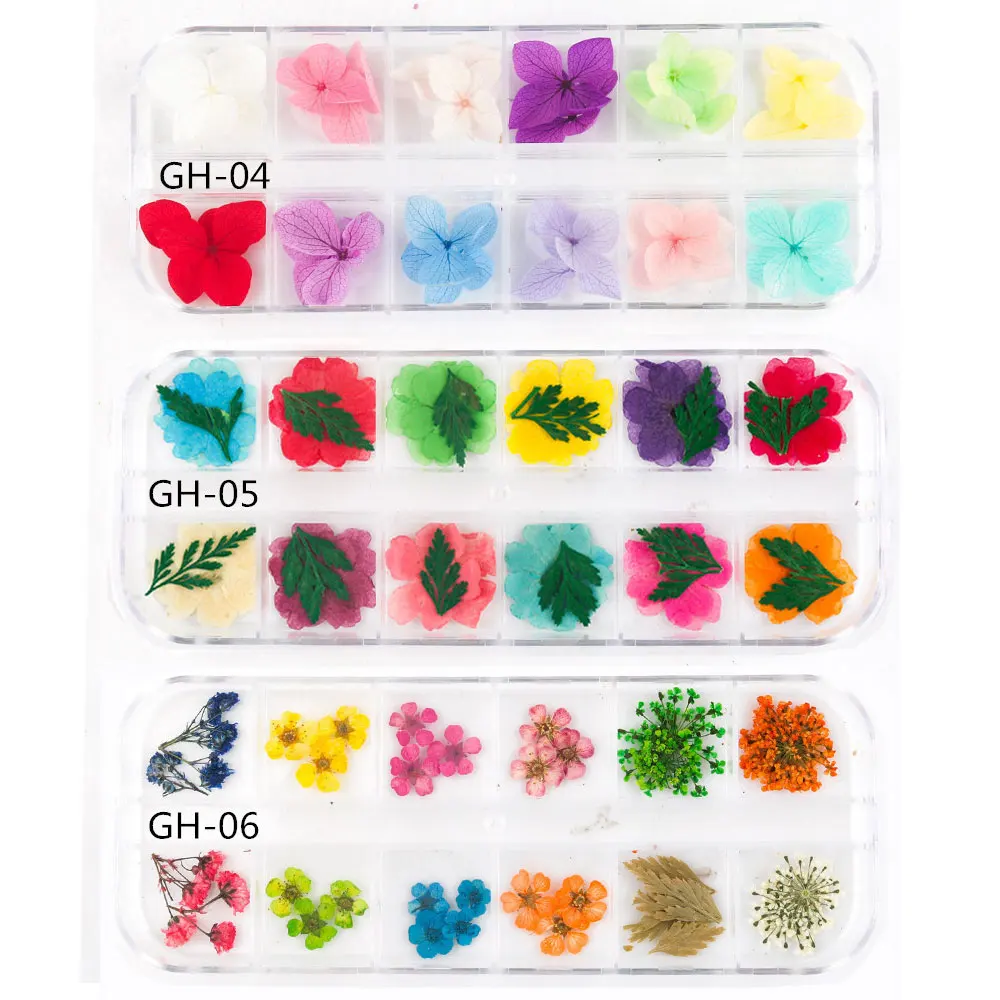 JCD 12 Grids 3D Dried Flowers Nail Art Decoration Real Natural Floral Sticker Designs Dry Flower Decals DIY Manicure Accessories 5