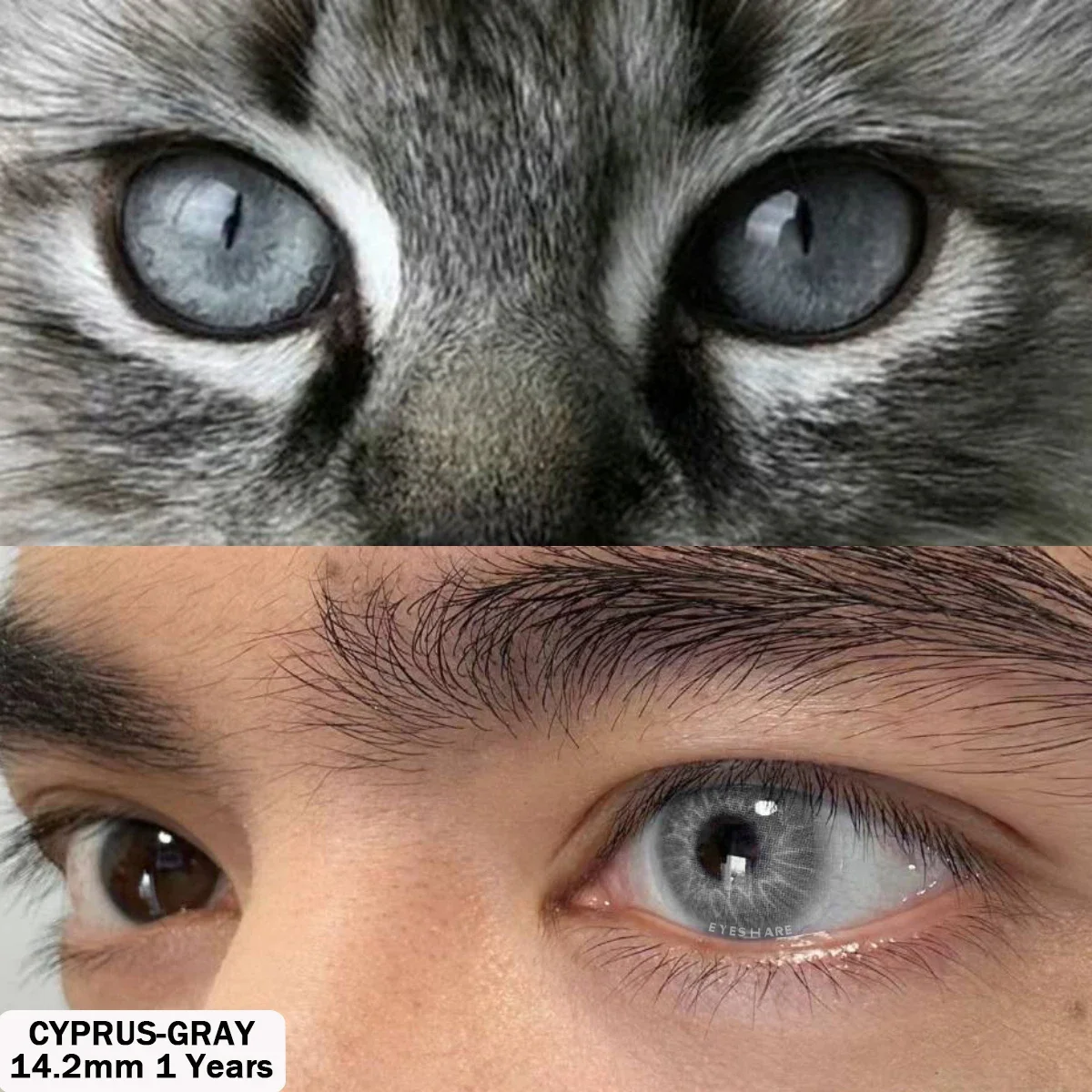 Vibrant Colored Contact Lenses - Cyprus Blue & Natural Gray 1 Pair