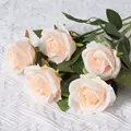 Silk cloth G2