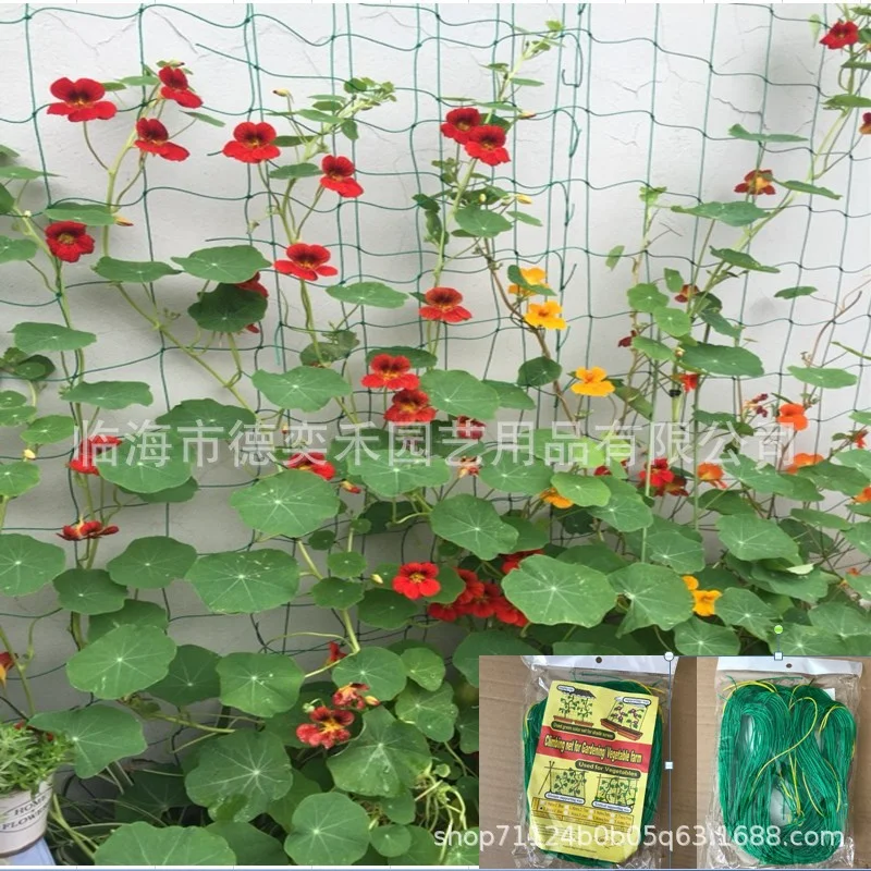 1pc Hi-quality Nylon Garden Loofah Morning Glory Flowers Vine Plants Climbing Net Cucumber Vine Grow Holder Trellis Netting 3