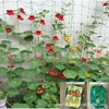 1pc Hi-quality Nylon Garden Loofah Morning Glory Flowers Vine Plants Climbing Net Cucumber Vine Grow Holder Trellis Netting 3