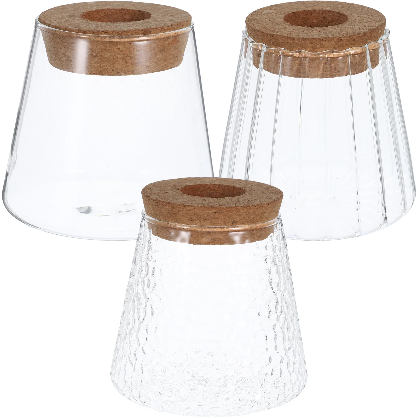 3 Pcs Hydroponic Plant Bottle Propagation Vases for Plants Glass Terrarium Avocado Flower Pots Desktop Decor Cork Jars Office 2