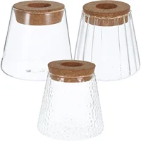 3 Pcs Hydroponic Plant Bottle Propagation Vases for Plants Glass Terrarium Avocado Flower Pots Desktop Decor Cork Jars Office 2