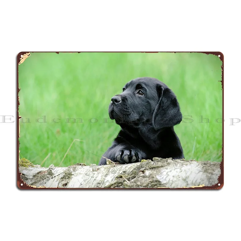 Labrador Retriever Puppy Metal Sign Garage Club Funny Bar Custom Club Tin Sign Poster