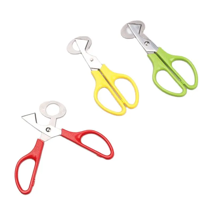 Creative Stainless Steel Cut Whisk Egg Apparatus Pigeon Quail Egg Scissor Bird Opener Kitchen Tool Clipper Gen Eggshell Cutter 3