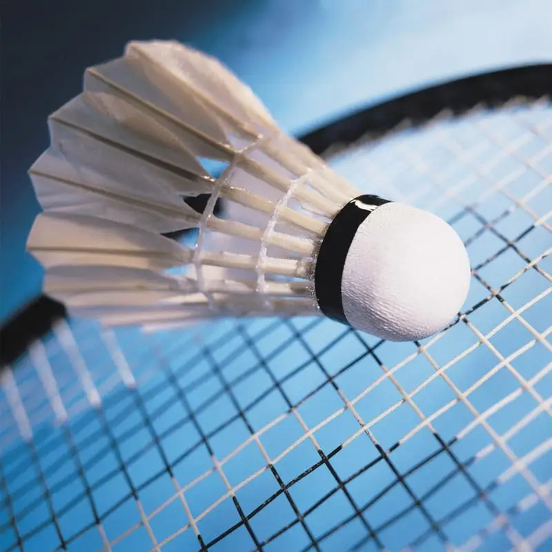 Badminton Shuttlecock Badminton Ball Badminton Trainer Feather Shuttlecock 12PCS For Hitting Practice Speed