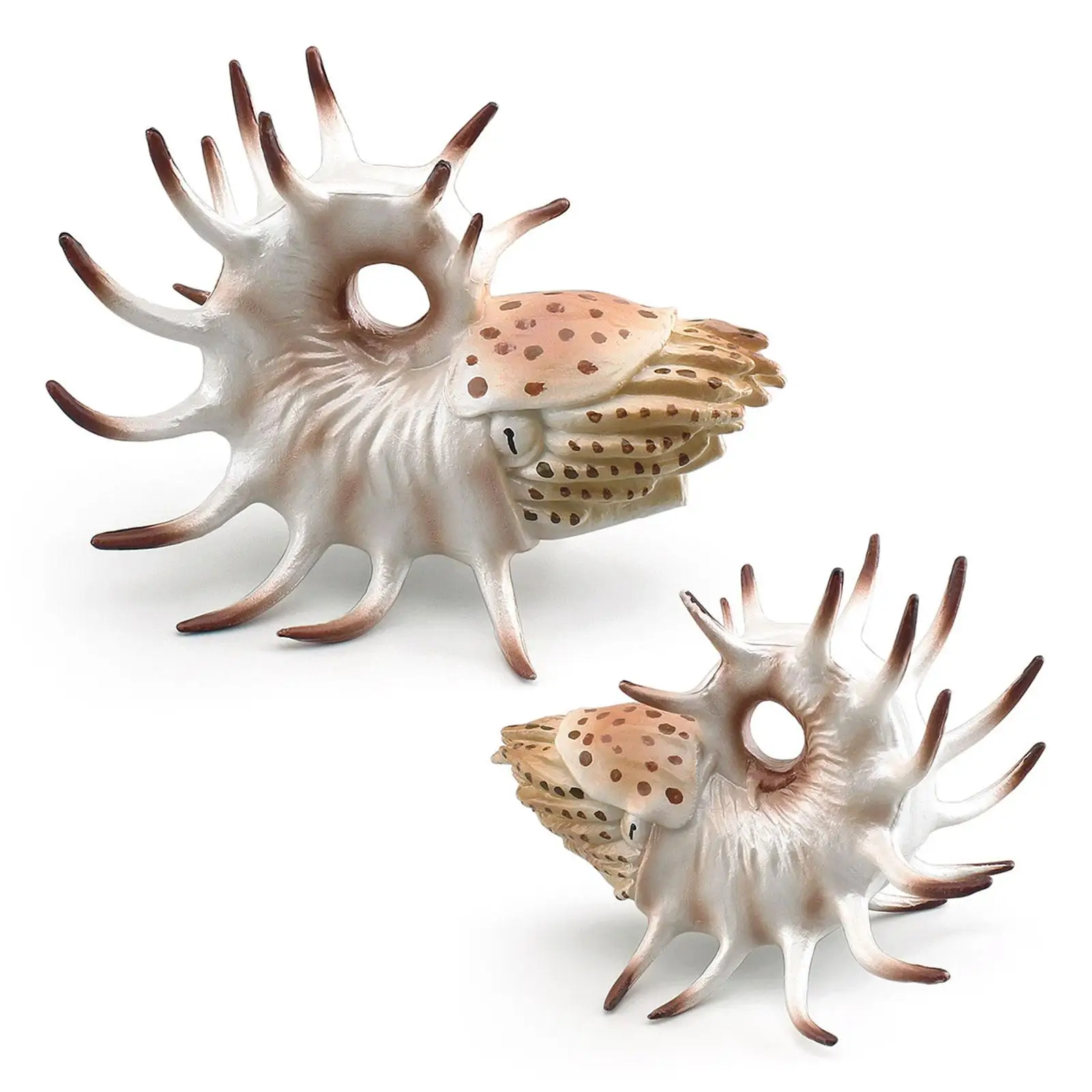 Sea Animal Figurine Model Collection Nautilus Model for Teens Kids Boy