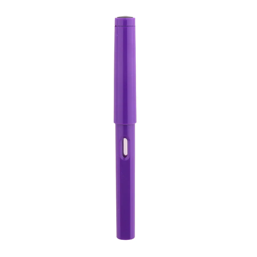 Elegant Fountain Pen with Fine Nib for Business and School Use