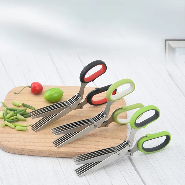 Stainless Steel Onion Scissors 5 Blade Kitchen Herb Shears Herb Cutter For  Chopping Basil Chive Parsley Kitchen Multifunctional - AliExpress