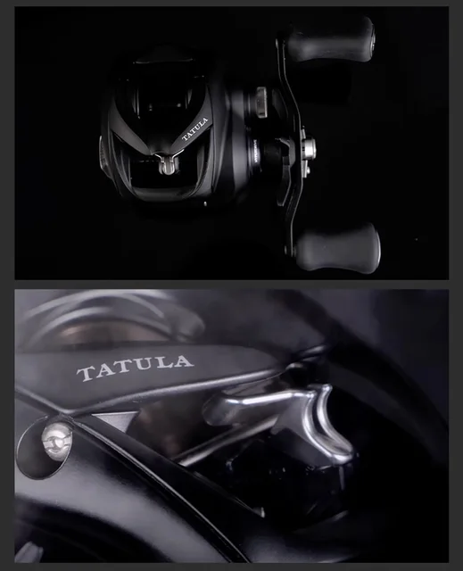 ダイワ 2025 新タトゥーラ TW 200 海水キャスティングリール 225