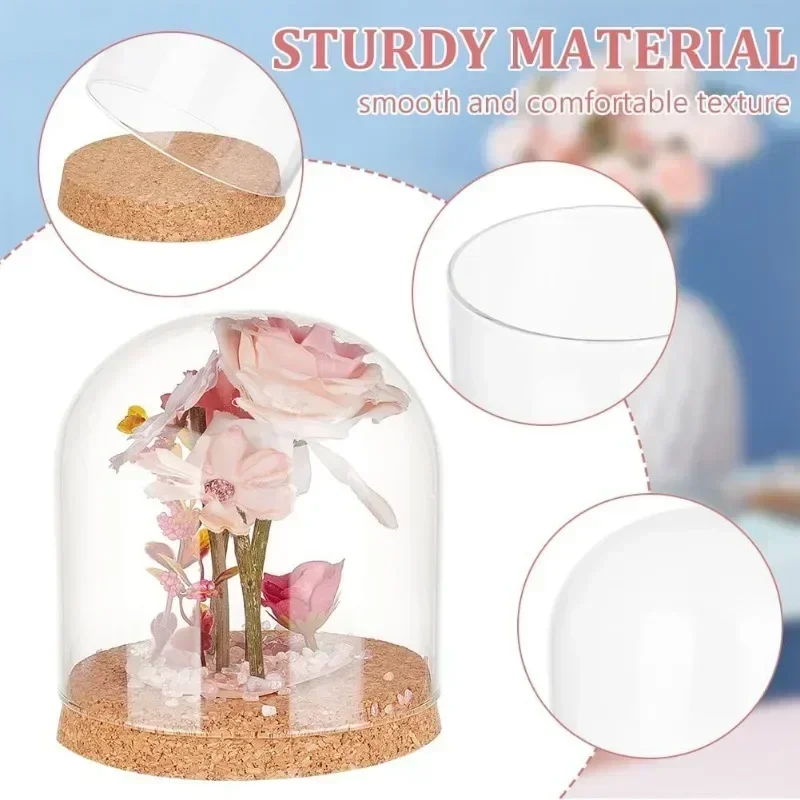 1 pc Glass Display Dome Cloche Glass Bell Jar Display Dome Decorative Jars with Cork Base for Flower Plants Specimens