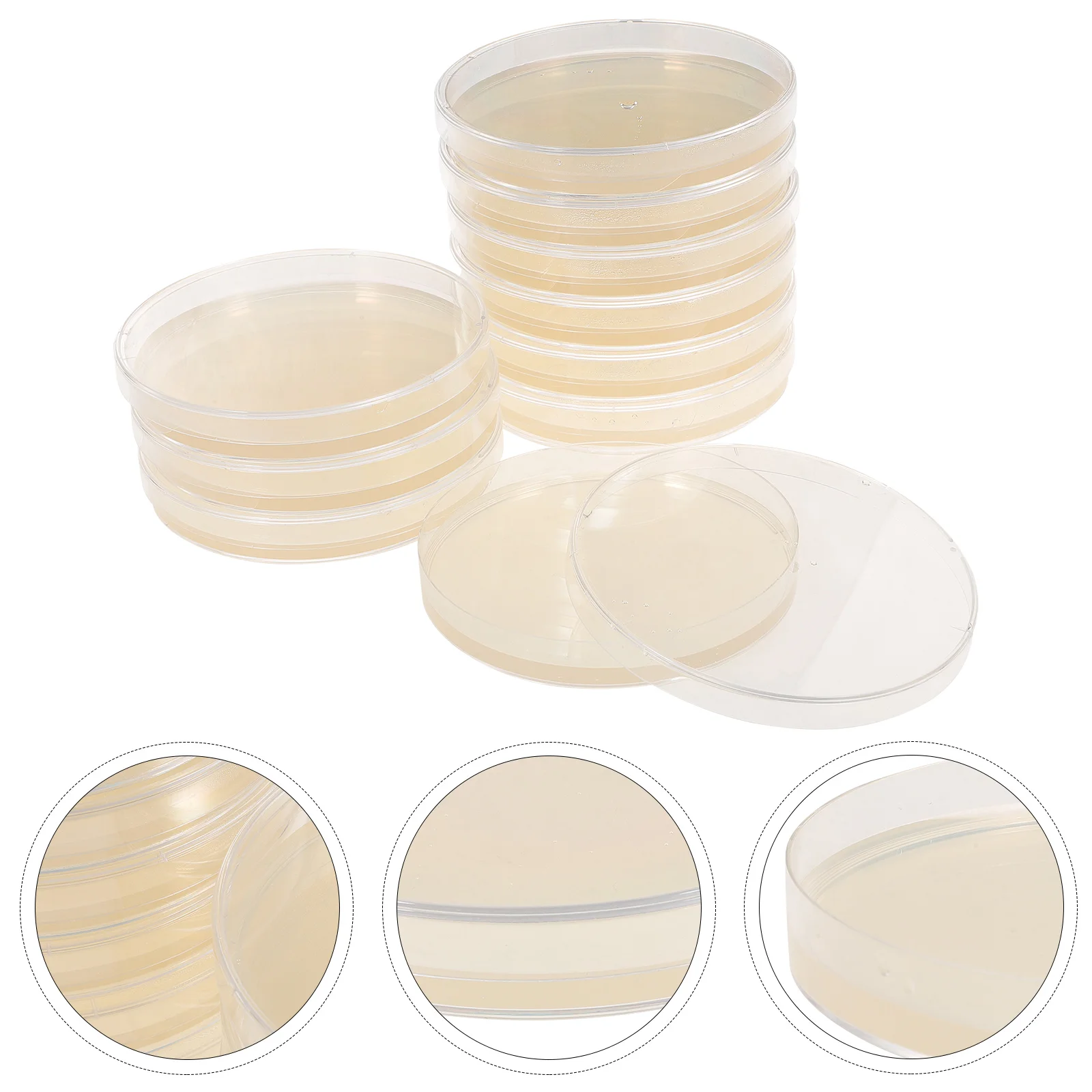 

10 Pcs Nutrient Agar Plate Portable Plates Tools Laboratory Supplies Petri Dishes Kits Science Experiment Prepoured