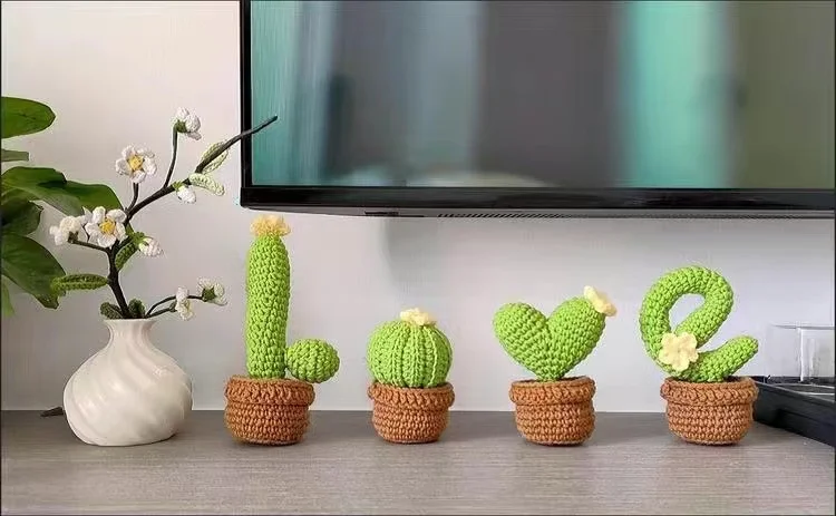 Handmade Cactus Love Potted Crochet Knitting Kits Wool Yarn Crochet Display Kit For DIY Beginner Women Home Gift crochet kit