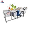 Raspberry Blueberry Bubble Washing Machine Cauliflower Broccoli Vegetable Washing Machine Date Palm Jujube Automatic Washer 1