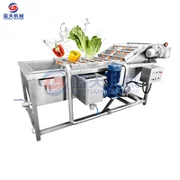 Raspberry Blueberry Bubble Washing Machine Cauliflower Broccoli Vegetable Washing Machine Date Palm Jujube Automatic Washer 1