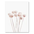 2627-02