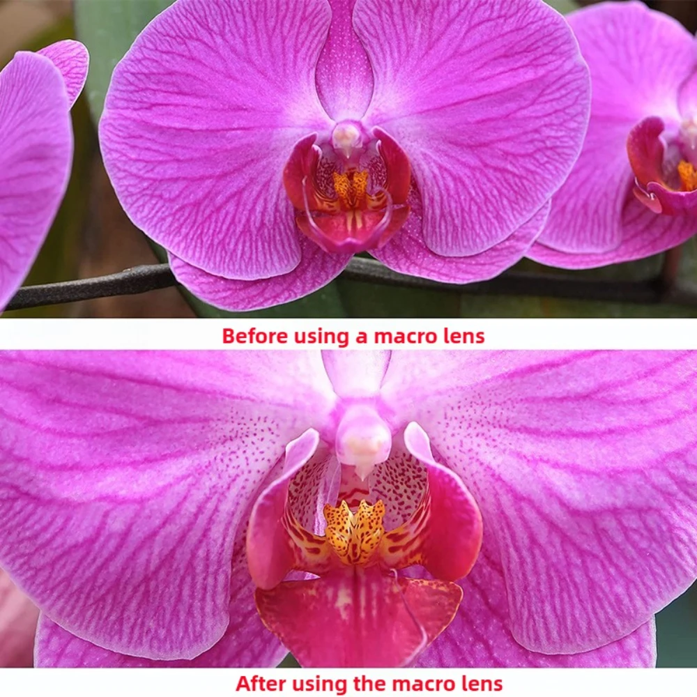 Comparaison côte à côte d'une photo sans et avec le Filtre Grand Angle 0.43X pour Objectif, montrant un champ de vision élargi.