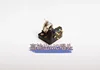 (A2) New MC dynamic cartridge 0.8mV (high output) cartridge needle LP black glue dynamic cartridge elliptical diamond tip 4