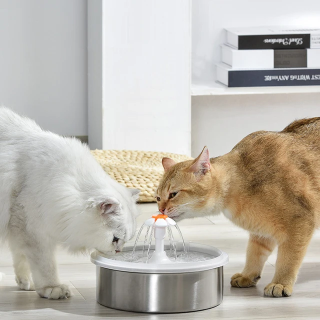 Fuente de agua para gatos, dispensador automático de agua de acero  inoxidable con filtro, capacidad de 2,2l, para mascotas y perros -  AliExpress