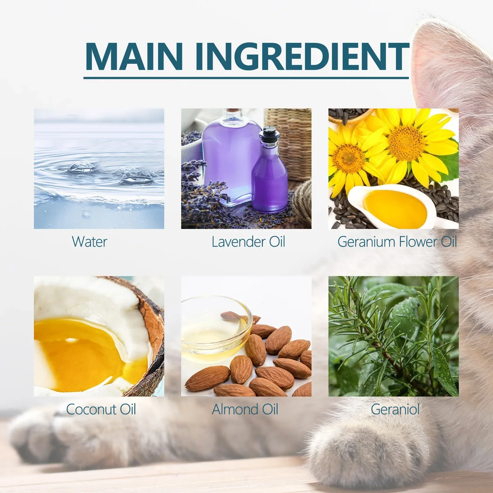 Anti-flea tick agent for pets insect repellent for cats and dogs skin cleaning lice and tick drops in vitro
