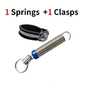 1 Clasps 1 Springs