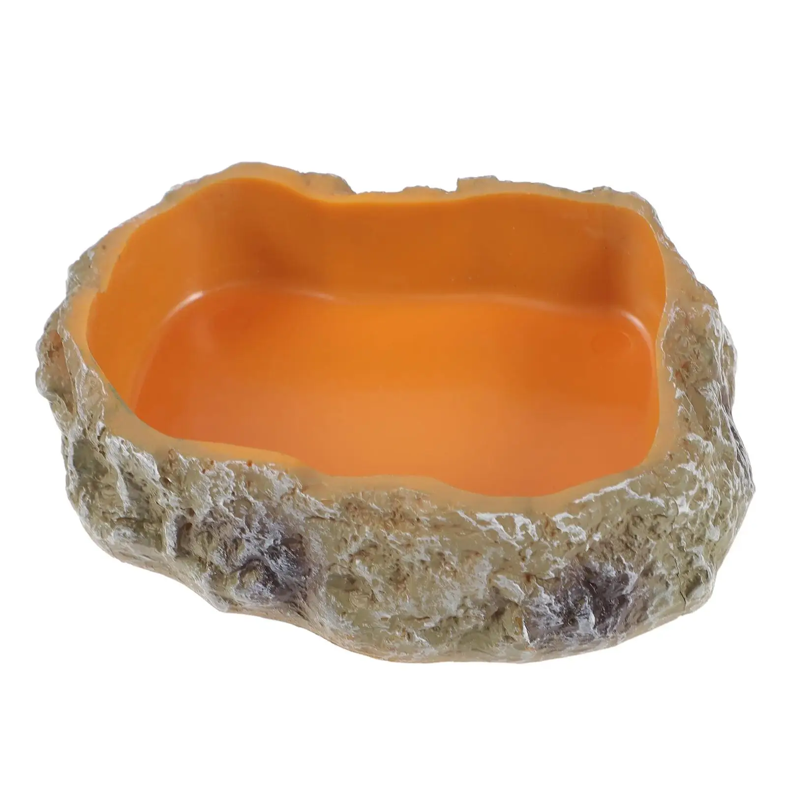 Reptile Water Bowls Tank Accessory Pet Aquarium Ornament Reptile Food Dish for Frog Leopard Gecko Snake Bearded Dragon