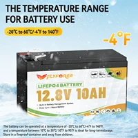 Batterie au Lithium LiFePO4 12V 10AH avec BMS 4000 + Cycles profonds batterie au Lithium Rechargeable pour détecteur de poisson lumière enfants voiture Camping 3