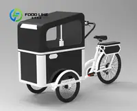 Vélo cargo à pédale électrique à 3 roues avec moteur arrière pour transporter des vélos électriques pour animaux de compagnie 6