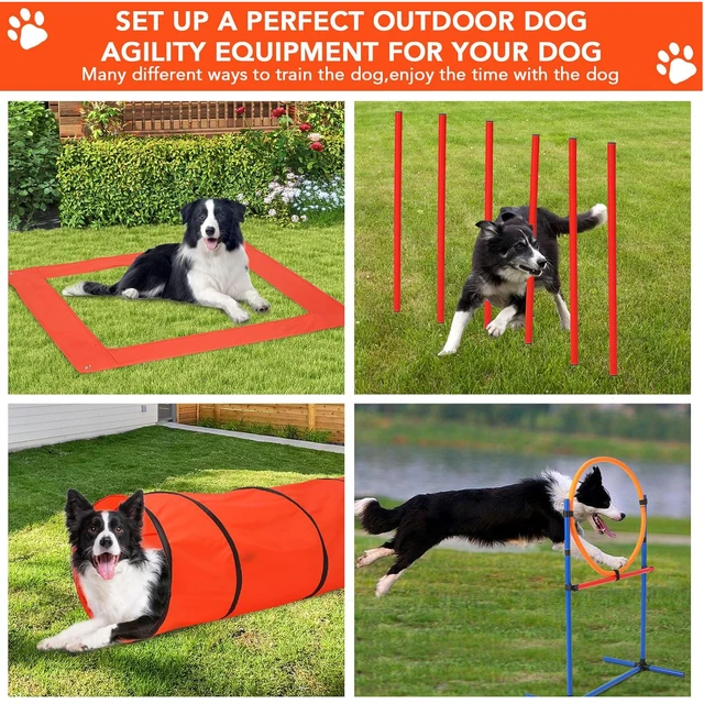 Dog Toys Dog Agility Equipment In1 Pet Outdoor Training