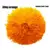 alloy orange