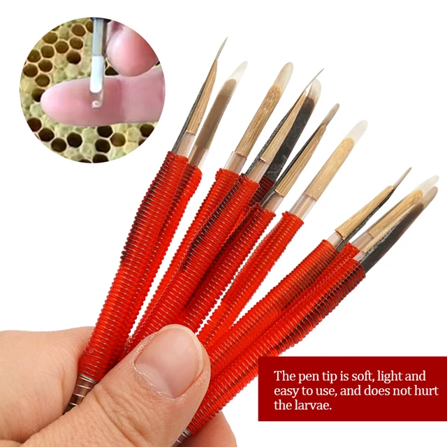 Méhészeti Oltó Szerszám Méhkirálynő Lárva Apikultúra Behúzható Oltóberendezések Méheszközök Mozgatása Férgek Tűk 5/10/15 Pcs - Image 3